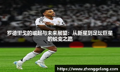 乐虎lehu平台